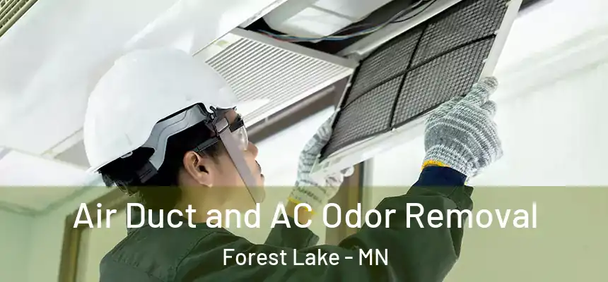  Air Duct and AC Odor Removal Forest Lake - MN