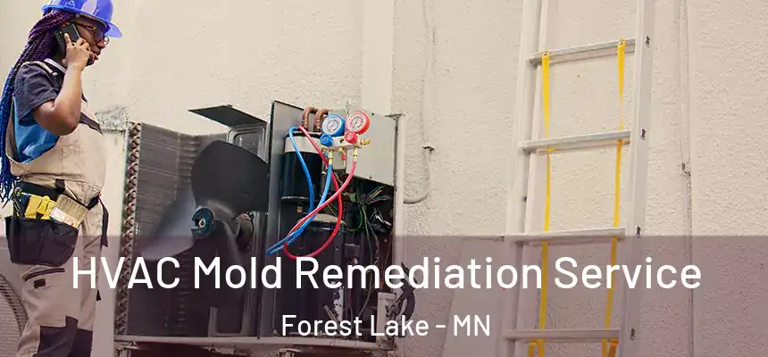  HVAC Mold Remediation Service Forest Lake - MN