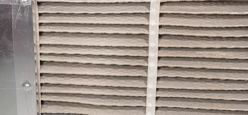 Mobile Car AC Filter Replacement in Forest Lake