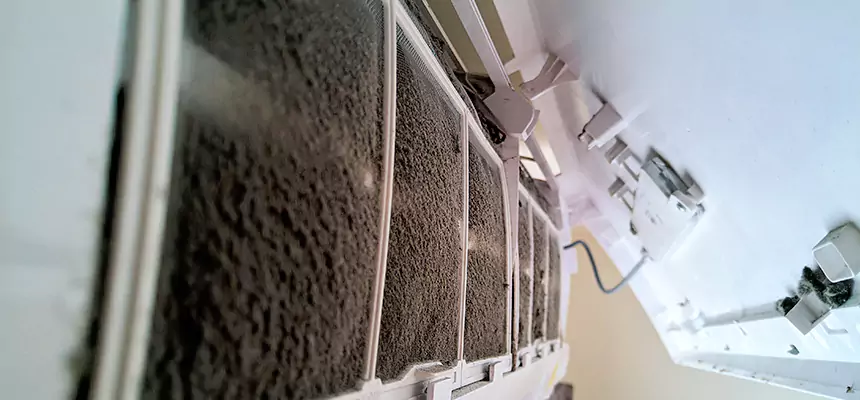 Preventive Air Duct Bacteria Removal in Forest Lake