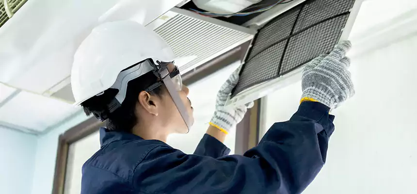 Our Mold & Mildew Removal from Air Ducts Services in Forest Lake, MN