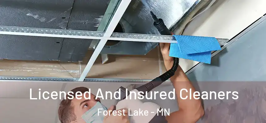  Licensed And Insured Cleaners Forest Lake - MN