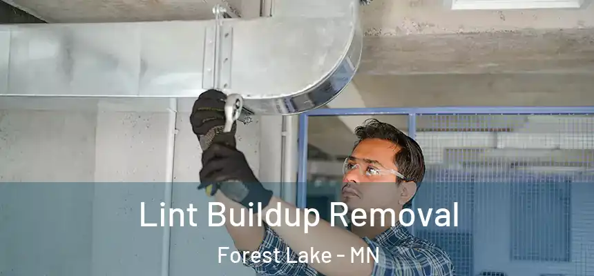 Lint Buildup Removal Forest Lake - MN