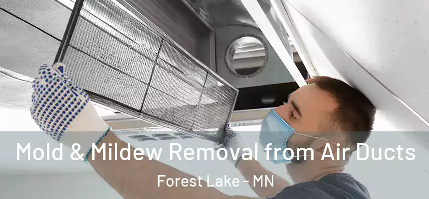  Mold & Mildew Removal from Air Ducts Forest Lake - MN