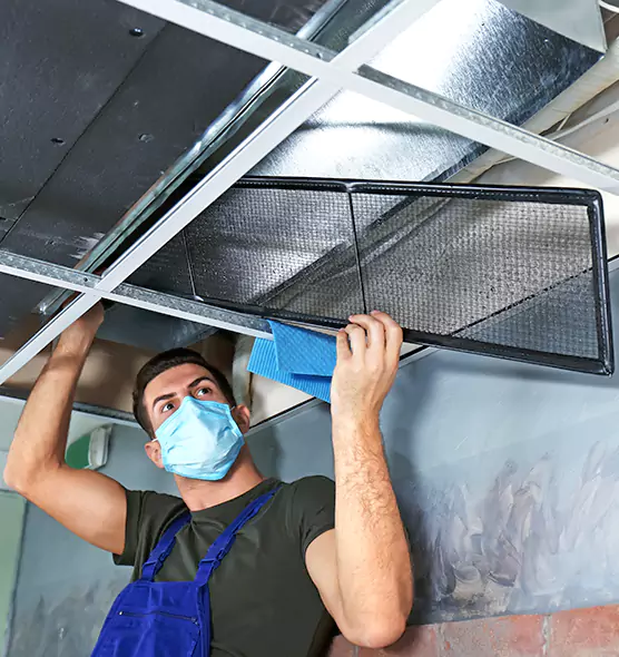About Air Duct Bacteria Removal in Forest Lake