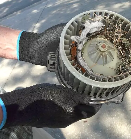 About Air Duct Mice Removal in Forest Lake, MN