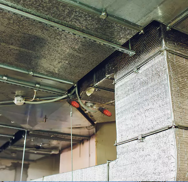 Why Homeowners & Businesses Trust Us in Forest Lake, MN?