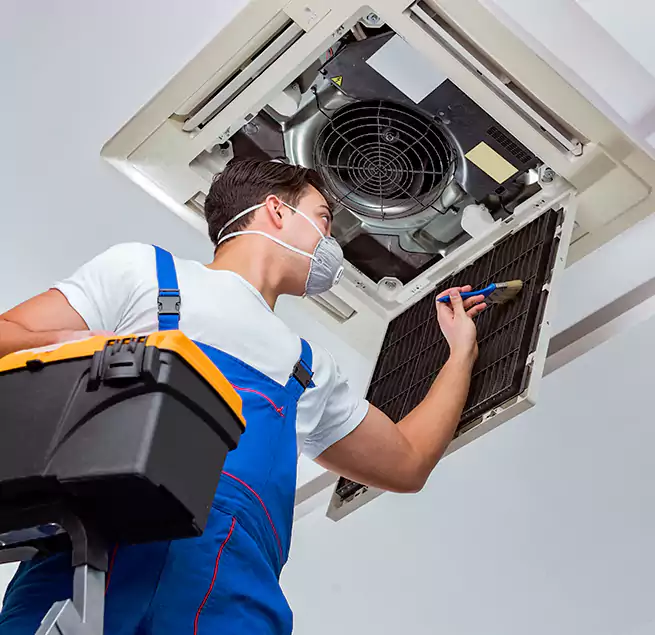 Why Homeowners & Businesses Trust Us in Forest Lake, MN