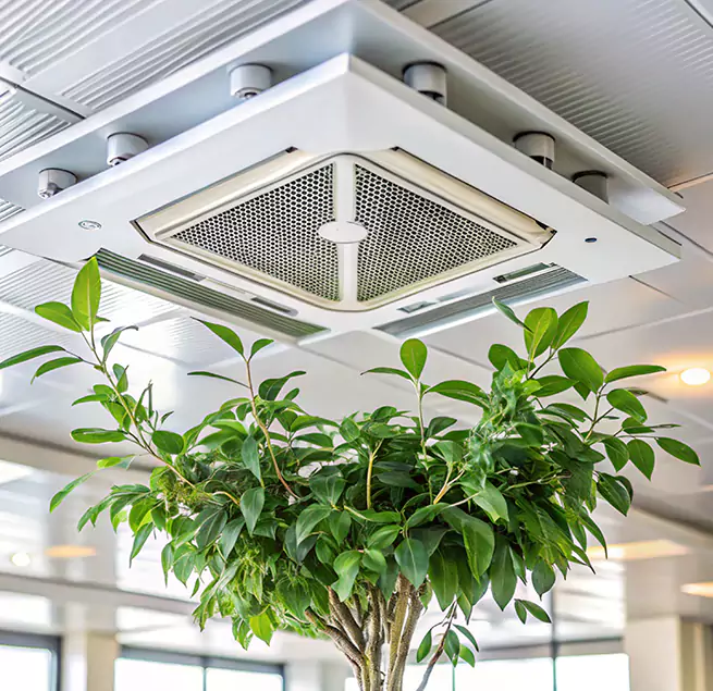 Why Homeowners & Businesses Trust Us in Forest Lake, MN?