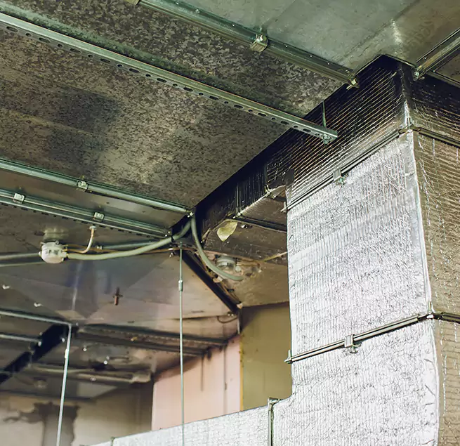 Why Homeowners & Businesses Trust Us in Forest Lake, MN?