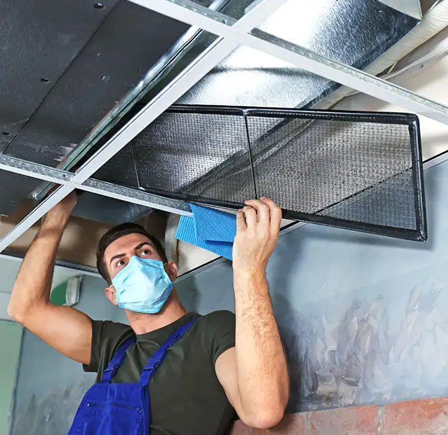 Why Homeowners & Businesses Trust Us in Forest Lake, MN?